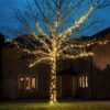 LED lempučių girlianda PRO 10M