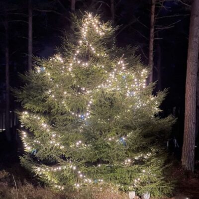 Profesionalios kalėdinės lemputės 300LED šilta balta + mirksinti šalta balta 22M