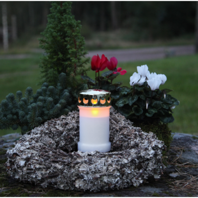 Kapinių žvakė baltos spalvos