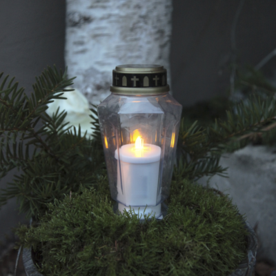 Kapinių žvakė skaidri