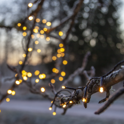 300LED šviesų girlianda "Flashy" 21M