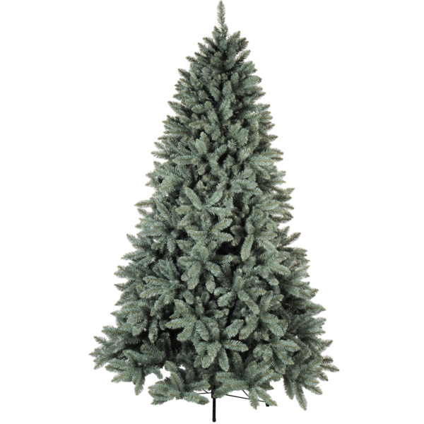 Kalėdų eglė "Royal Blue" 210 cm