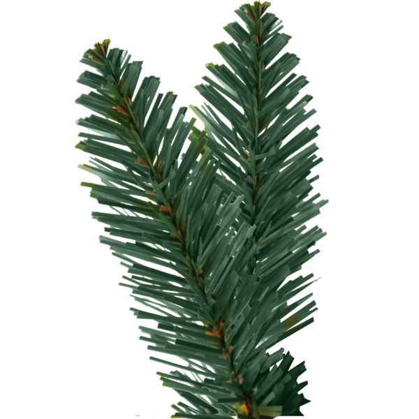 Kalėdų eglė "Royal Blue" 210 cm - Image 3