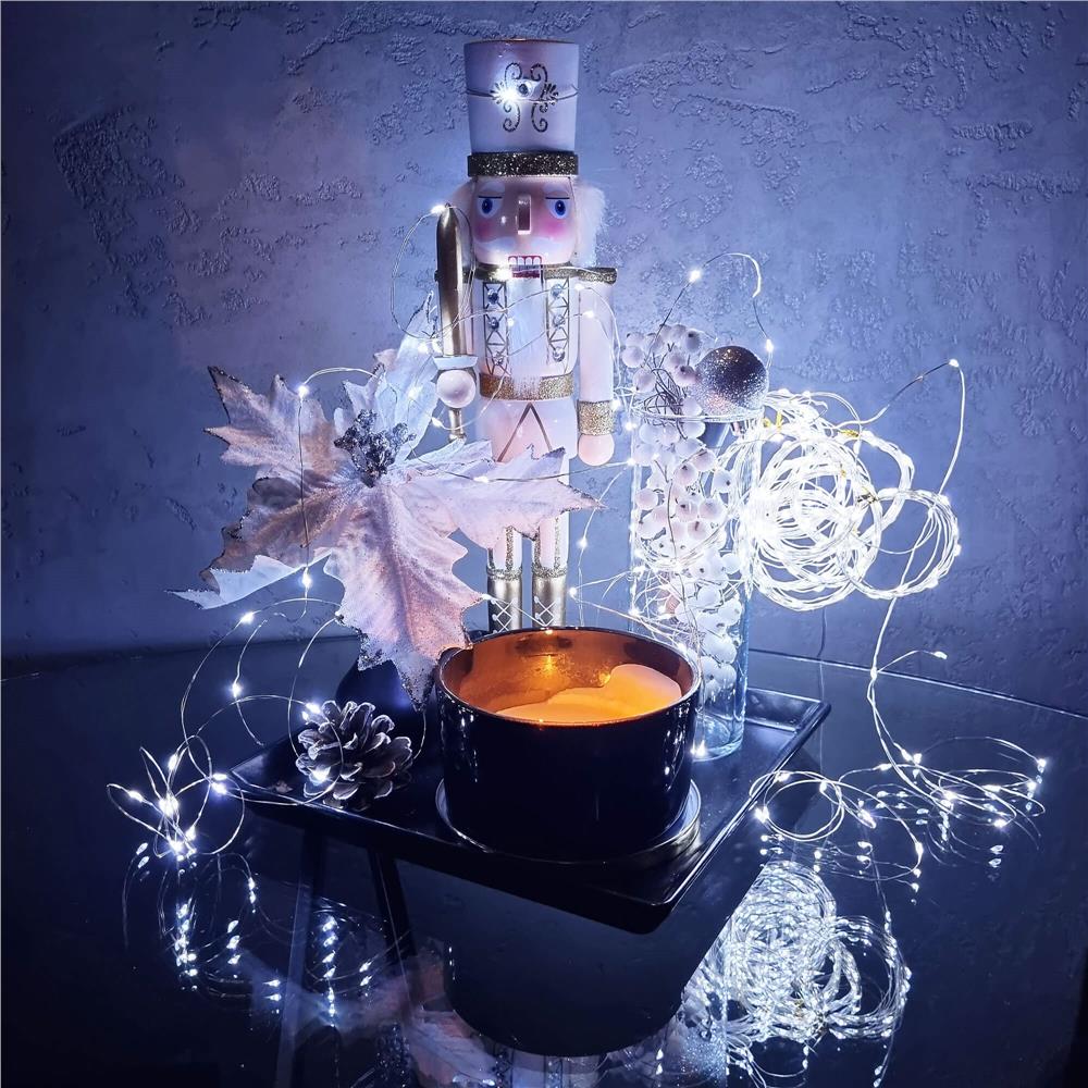 480LED dekoratyvinės mikro LED kalėdinės lemputės šaltai baltos spalvos 51m + valdymo pultelis - Image 2