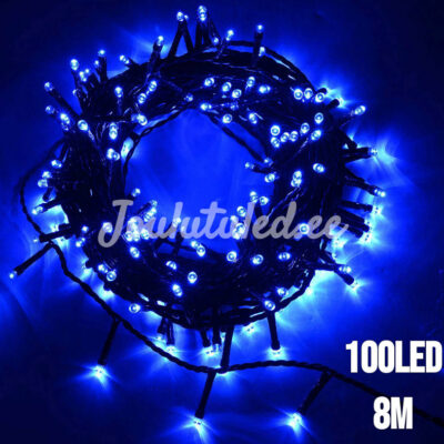 100LED mėlynos kalėdinės lemputės 8M