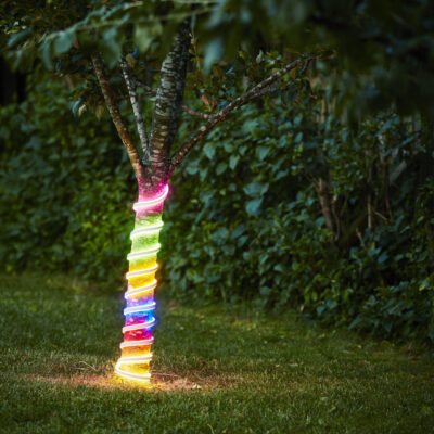 LED neoninė žarna Spalvota