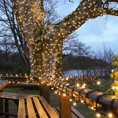 LED lempučių girlianda PRO 24V 10M