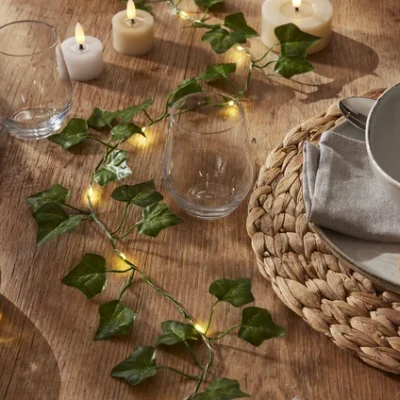 LED girlianda su baterijomis „Ivy“ 2 m