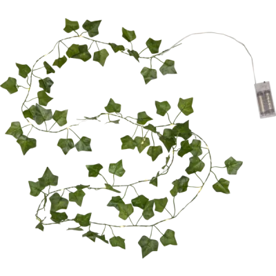 LED girlianda su baterijomis „Ivy“ 2 m