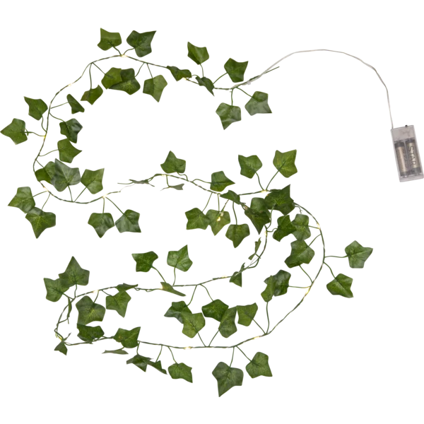 LED girlianda su baterijomis „Ivy“ 2 m