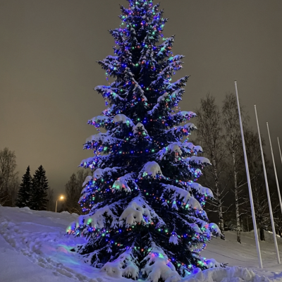 1000LED kalėdinės spalvingos lemputės 81.5m
