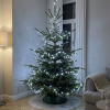 100LED šaltos baltos spalvos kalėdinės lemputės 8M