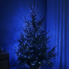 200LED mėlynos kalėdinės lemputės 16M