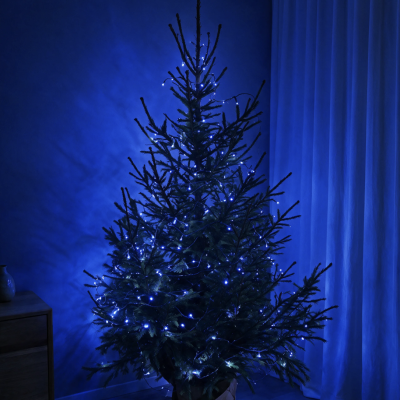 200LED mėlynos kalėdinės lemputės 16M